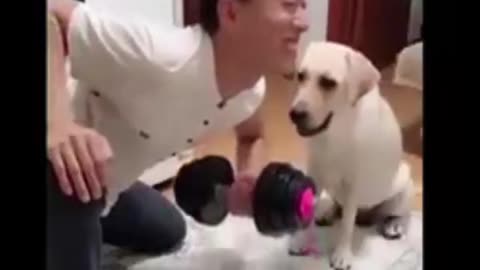 Cat and Dog funny