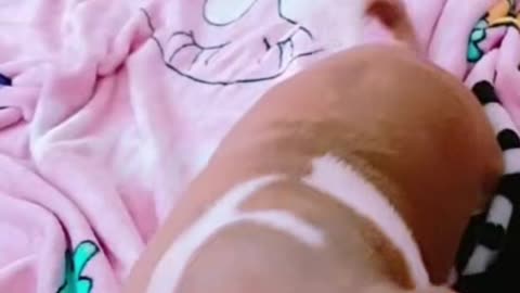 Let's go outside and play.