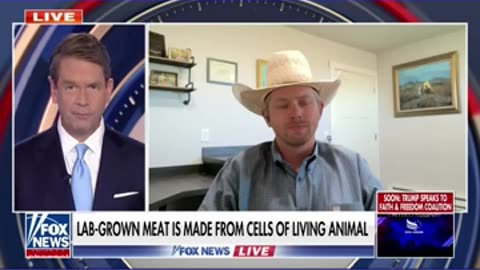 The Pentagon plans to serve lab-grown meat to service members _shorts