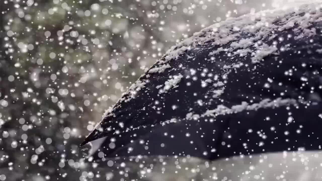 RAIN FLOW VIDEO