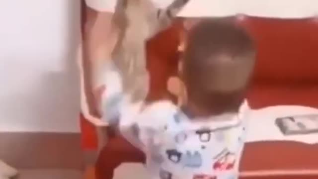funny animal videos#shorts#youtube shorts#trendings