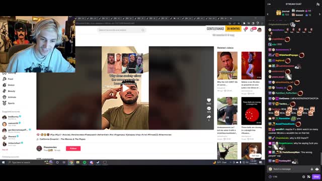 xQc finds himself getting roasted in a TikTok