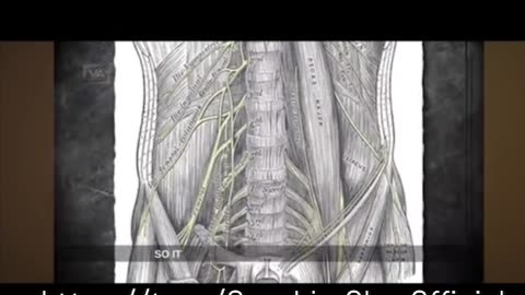🟪🟡SACRED SECRETION How To Amplify Your Ascension & Consciousness