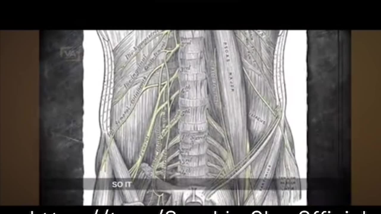 🟪🟡SACRED SECRETION How To Amplify Your Ascension & Consciousness