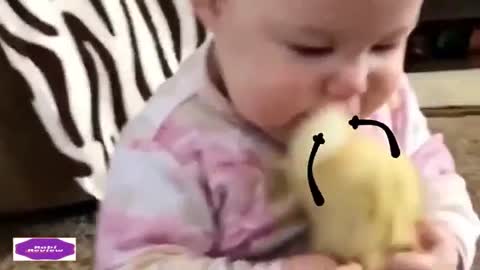 funny PET ANIMALS | Watermelons & Baby Hippo