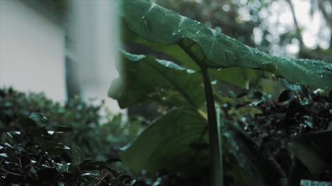 40 seconds of inspiration