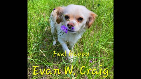Evan W. Craig - Feel Happy