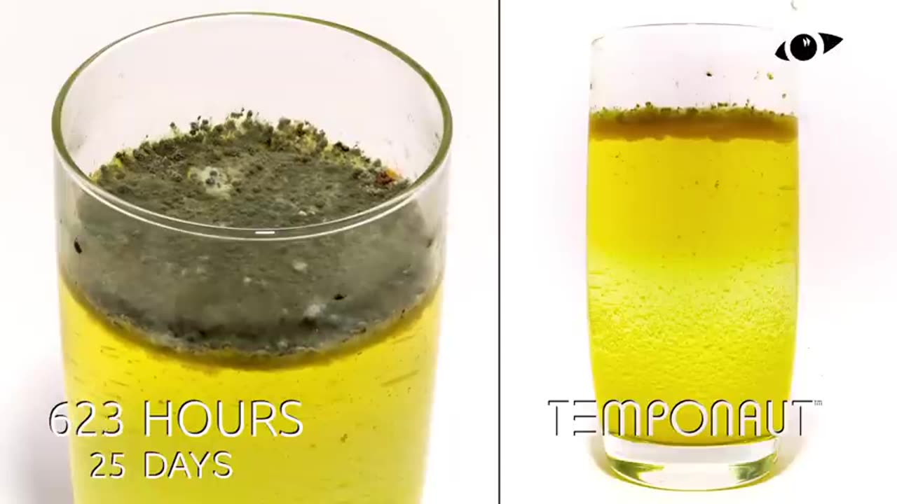 Fanta Time Lapse