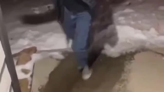 Super slippery floor