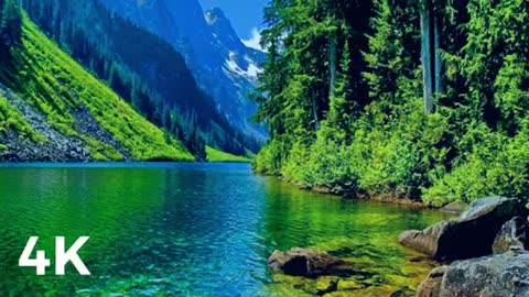 4K | Peaceful Nature |
