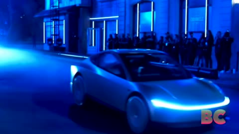 Elon Musk reveals Tesla’s robotaxi and robovan