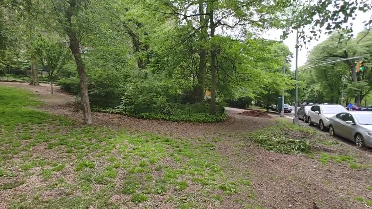 Puca se i po Tajm Skveru, pa je to kao neka vest... Hoolies