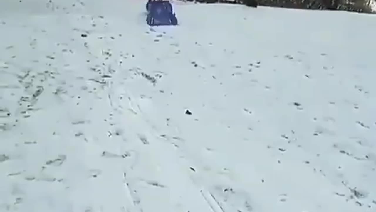 Sledding is fun no matter who you are!