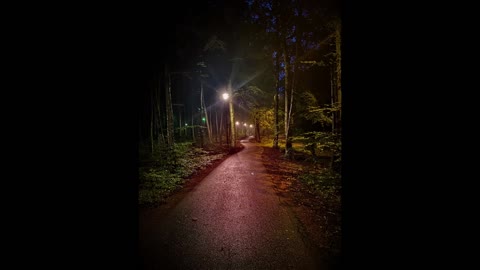 Relaxing Rain sounds for Study or Chilling