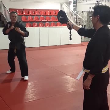 Jump Spinning Heel Kick