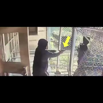 NYC: FedEx Worker Shot In Back Of Neck