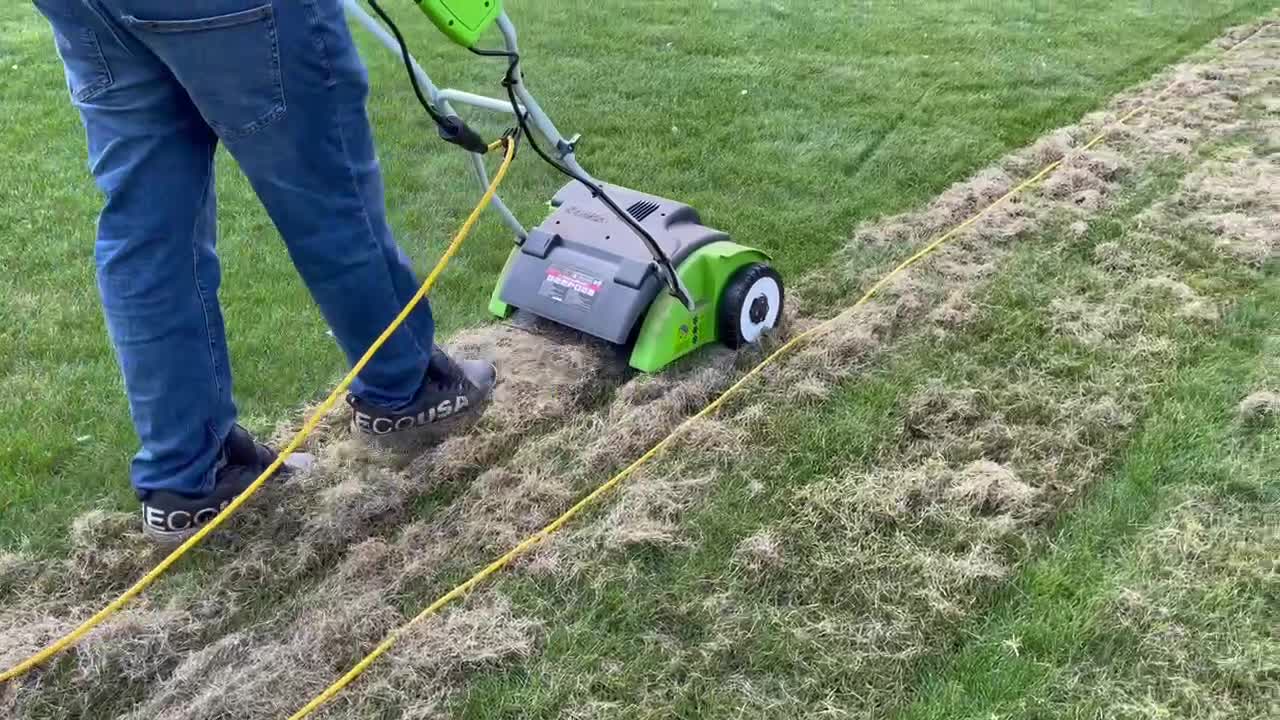 Lawn dethatcher