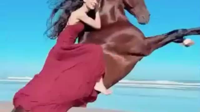 Beach with CurryVac