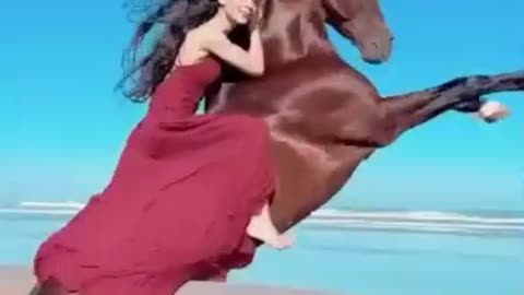 Beach with CurryVac