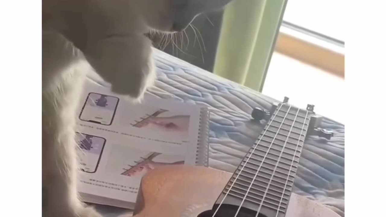 Bro can play guitar🎸🎸