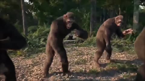 Time To Leave Earth - Epic Ape Dancing