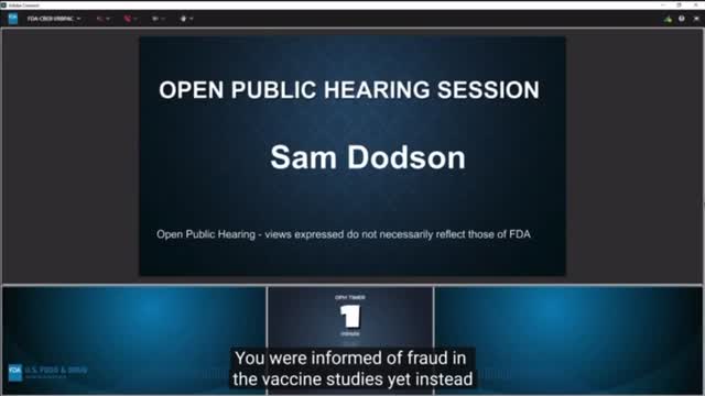 Committed and participated in crimes against humanity