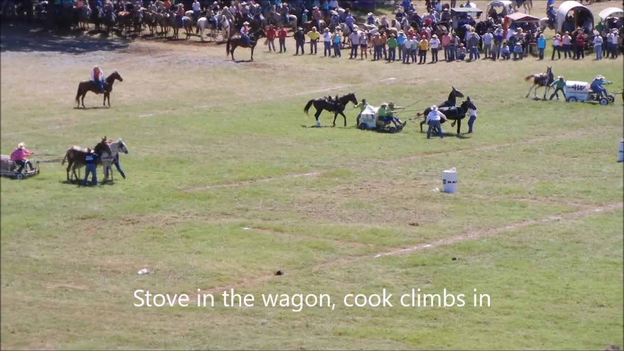 Chuckwagon Races 2016