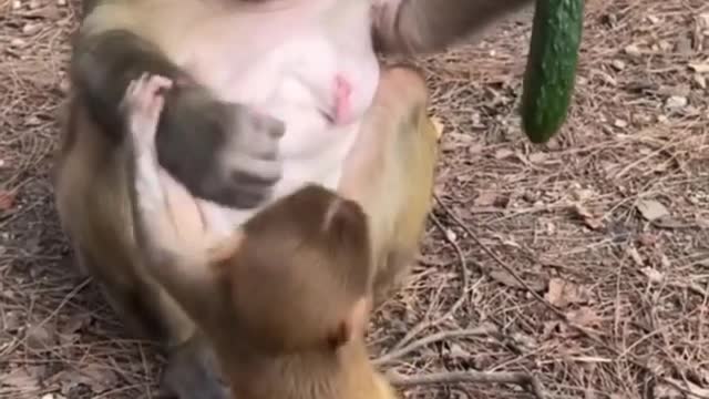 Mom Doesn't Share Food With Her Son