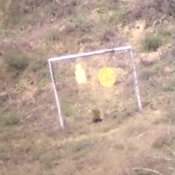 Gew 88/05 at 700 yard hits