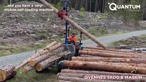 Amazing Extreme Tree Cutting Skills With Chainsaw And Heavy Logging Equipment