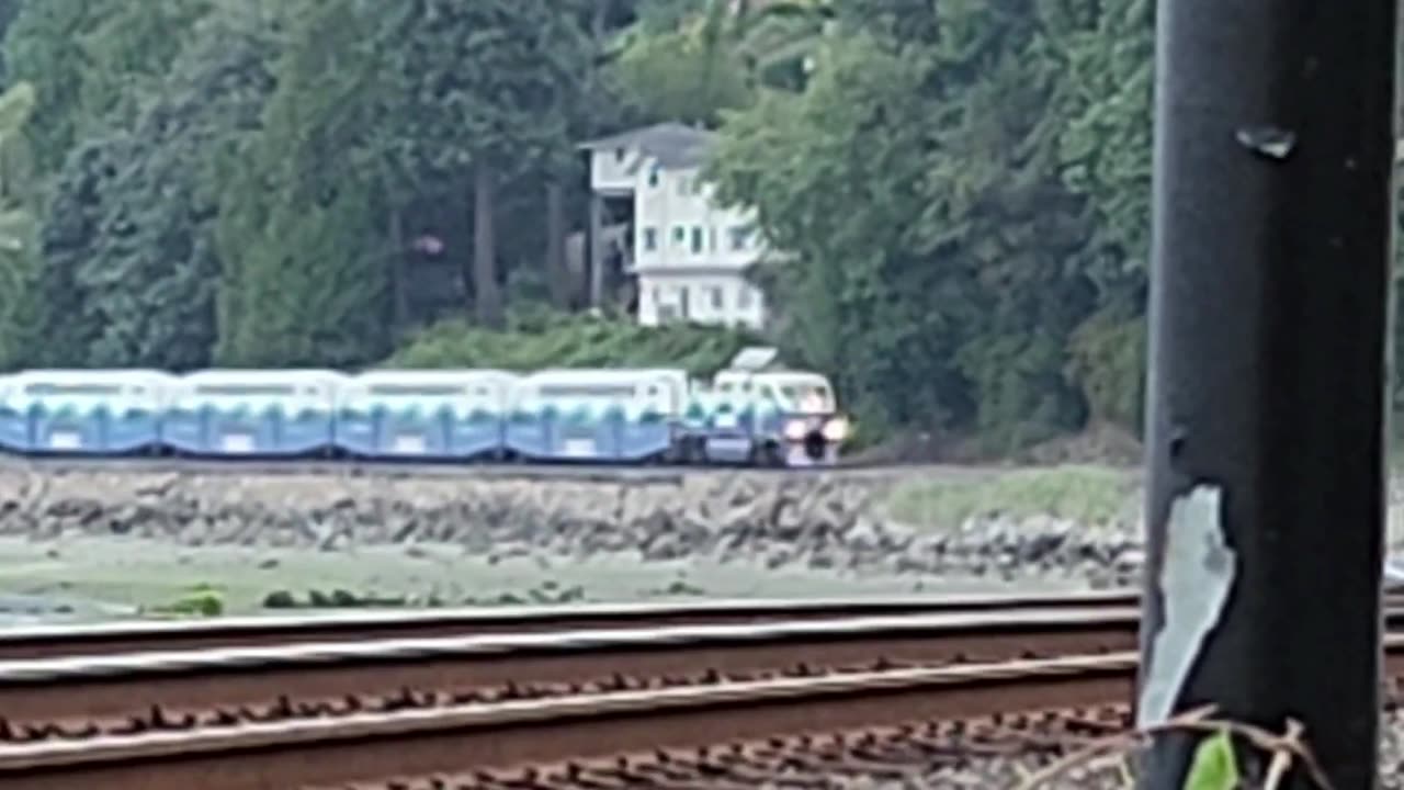 A quick railfanning session in Picnic Point/Meadowdale, WA, 8/16/2024
