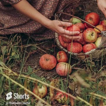 Angelo Branduardi, italian medieval music 🍎 Grab the first apple❤ Cogli La Prima Mela Live '83 | mixage🍎 #branduardi