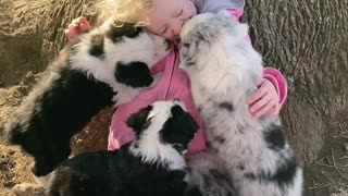 A girl and her puppies