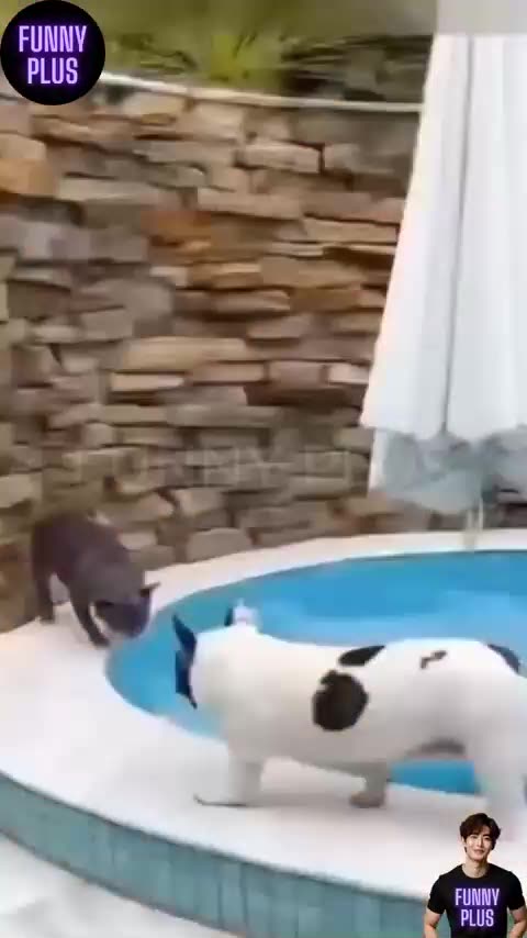 420 CLIP OF THE DAY DECEMBER 30, 2024