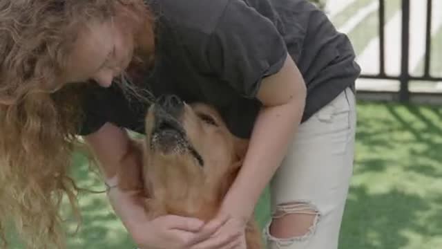 woman petting a dog