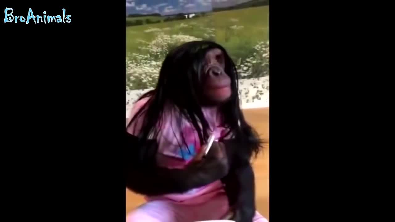 Cheerful monkey sings a song