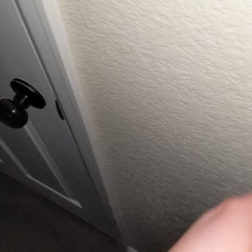 Dog Left In Garage For a Day GETS SET FREE