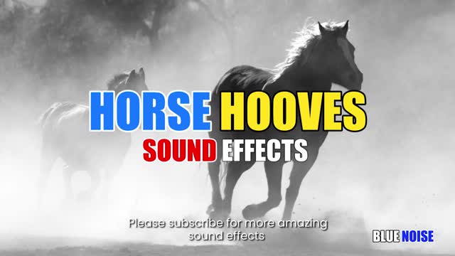 Horse hooves sound effects