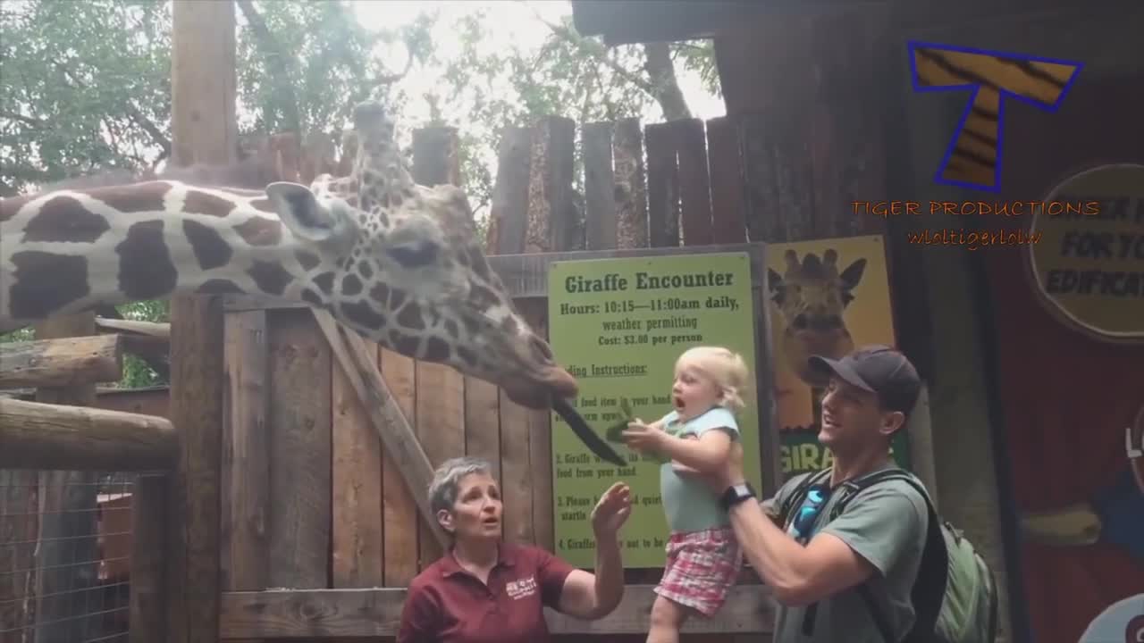 Hilarious, baby and giraffe