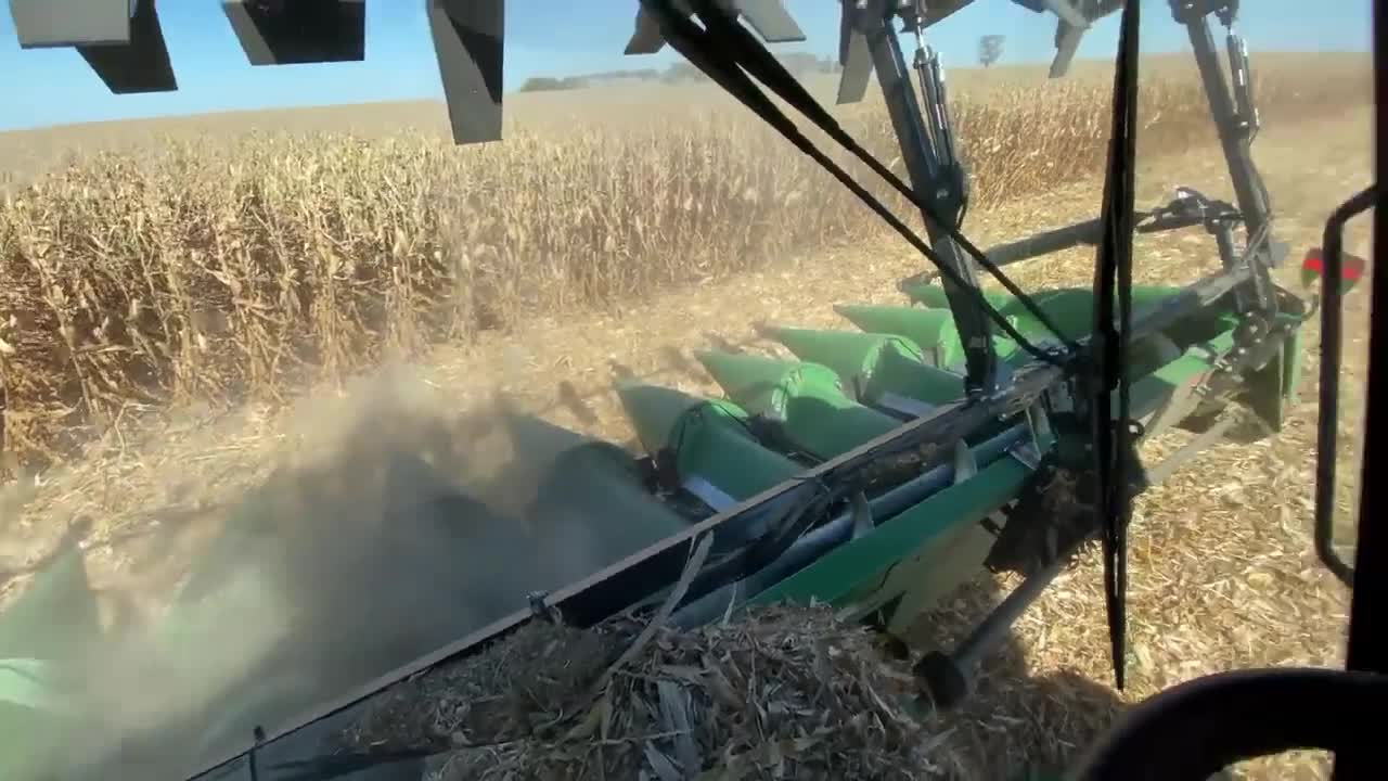 A Field of Harvest