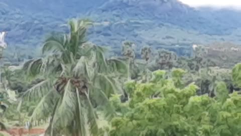 Mother Nature Tenkasi