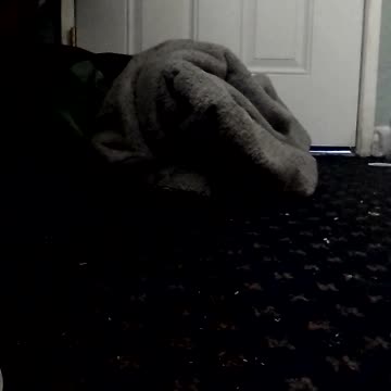 saut numéro deux 🧡💛💚