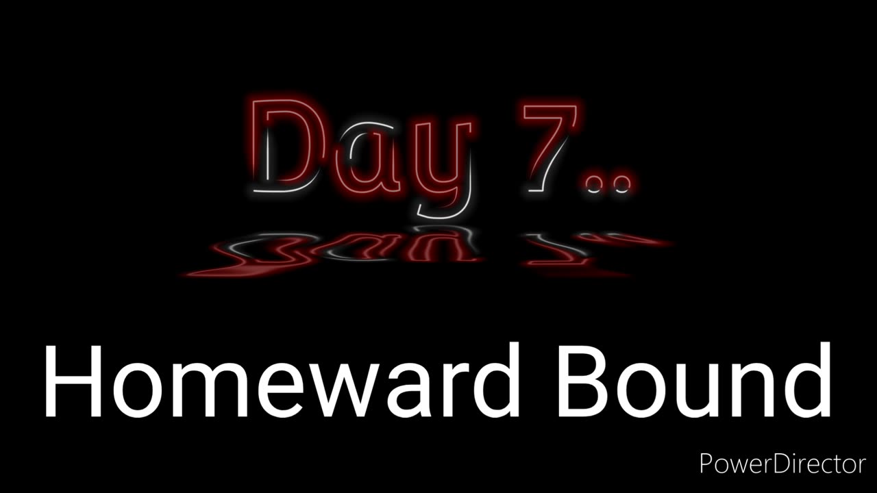 Day 7... Homeward Bound....?!?