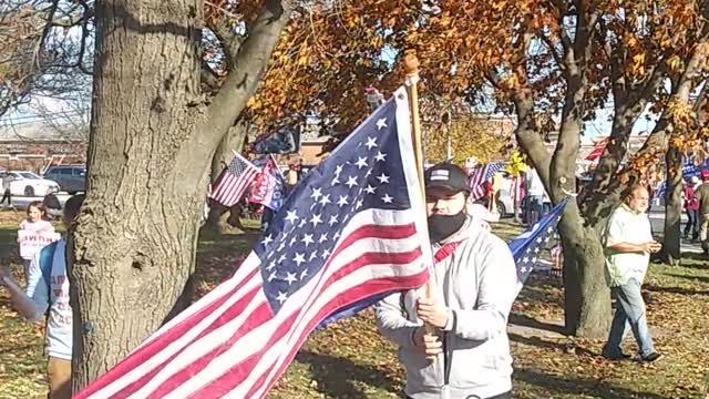 Schaumburg #StopTheSteal Rally