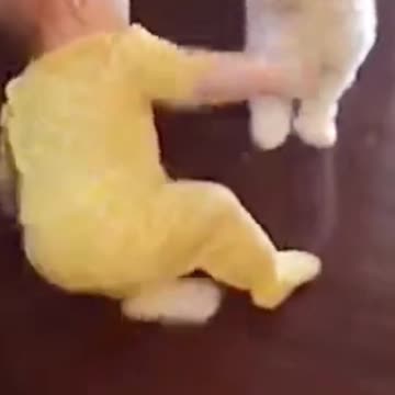 Babies Playing with Pet Dogs