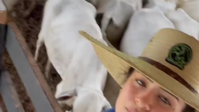 Cowgirl fron brazil 2.0