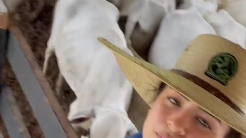 Cowgirl fron brazil 2.0