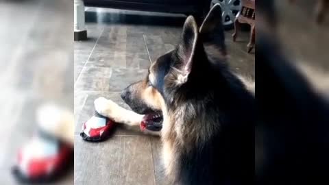 Playing with a car