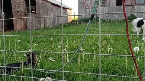 Axumite visits the farm she was born on