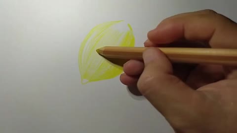 Fill The Center Color Of Lemon